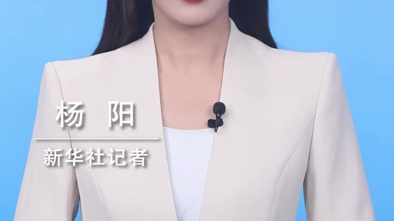数据中台：揭秘大数据平台背后的批发价格奥秘**