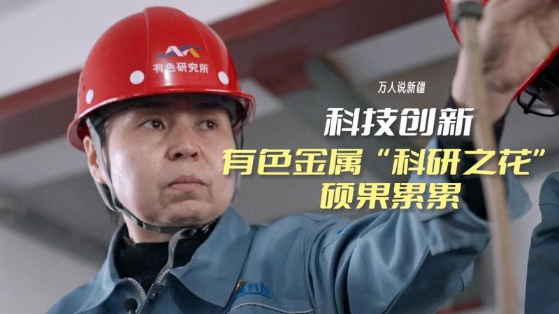 疫情数据可视化：构建透明防控的视觉桥梁