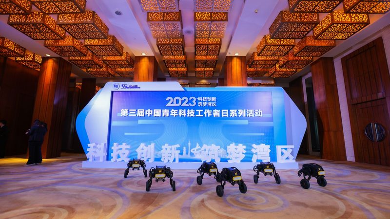 医疗行业数据标准咨询：构建高效数据管理的基石